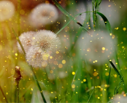 Heuschnupfen-Naturheilkundliche-Allergiebehandlung