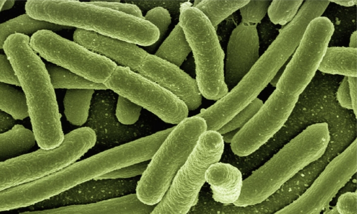 Mikrobiologische-Therapie Mikrobiologische-Therapie